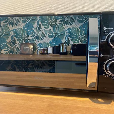 Magnifique Appartement Au Coeur De Mulhouse Ngoại thất bức ảnh