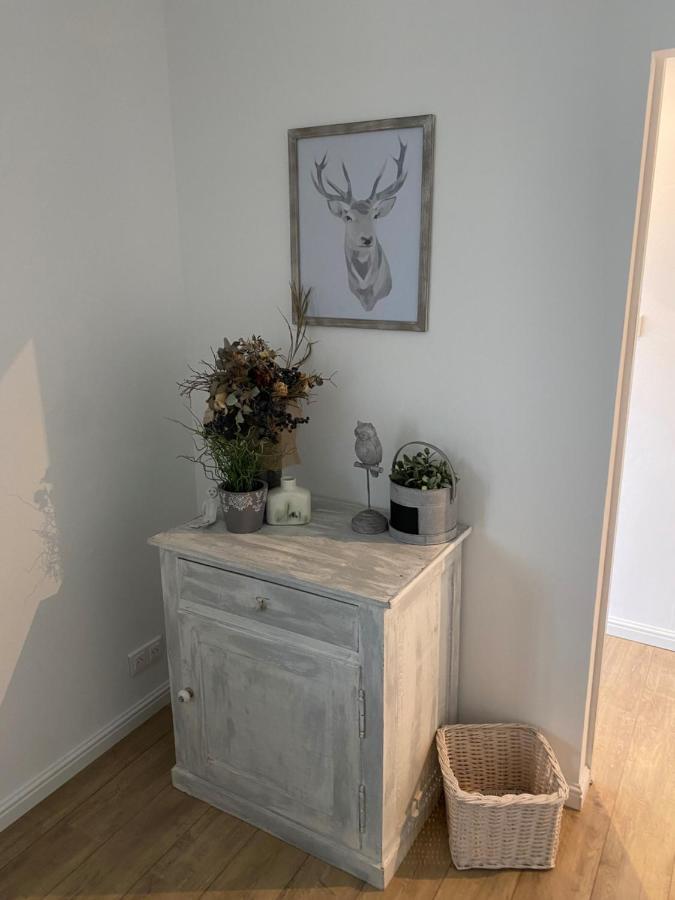 Magnifique Appartement Au Coeur De Mulhouse Ngoại thất bức ảnh