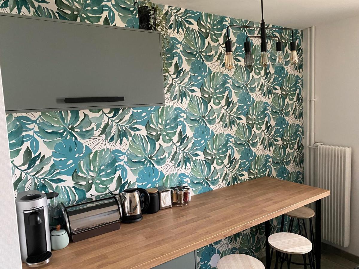 Magnifique Appartement Au Coeur De Mulhouse Ngoại thất bức ảnh