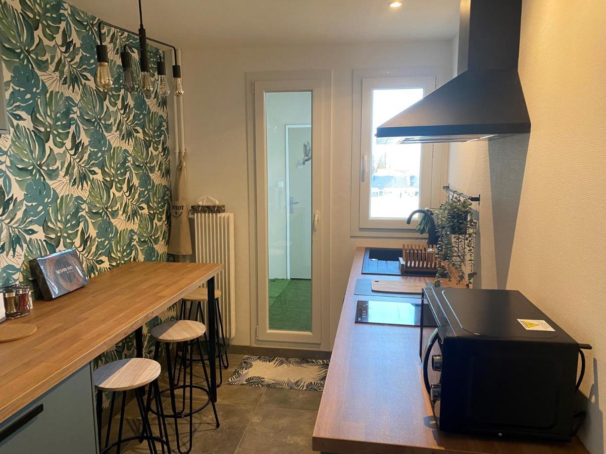 Magnifique Appartement Au Coeur De Mulhouse Ngoại thất bức ảnh
