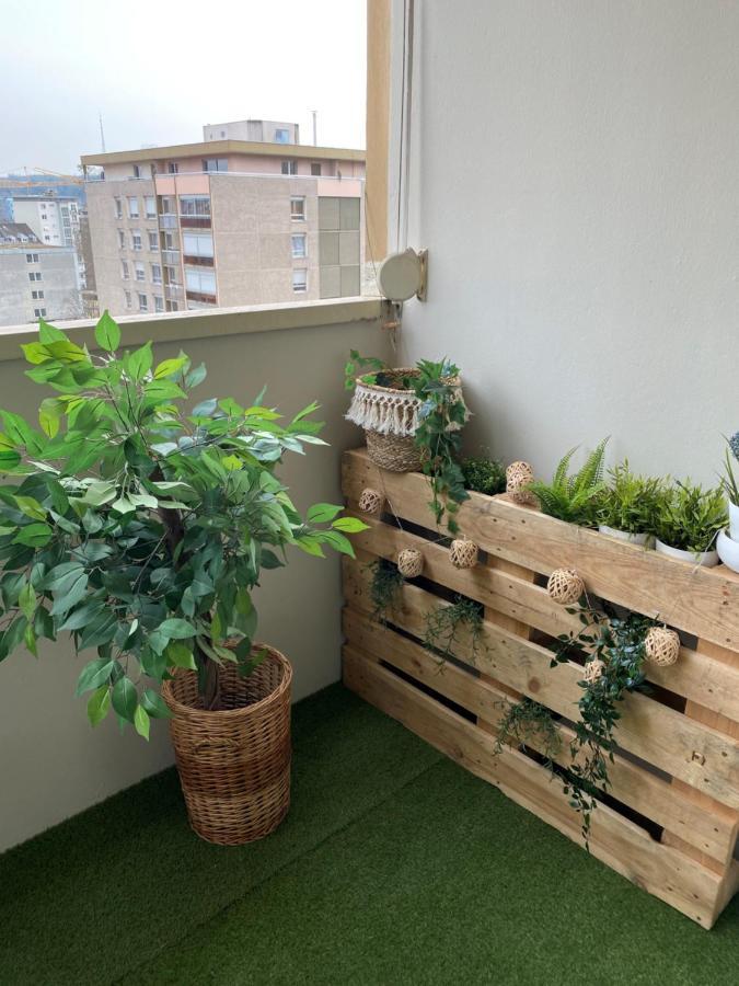 Magnifique Appartement Au Coeur De Mulhouse Ngoại thất bức ảnh